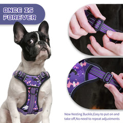 Arnés BUMBIN con ajuste de 4 puntos para comodidad personalizada.