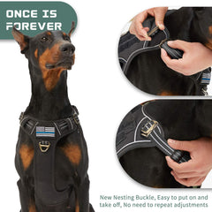 BUMBIN arnés con clips frontal y trasero para entrenamiento y paseo seguro.