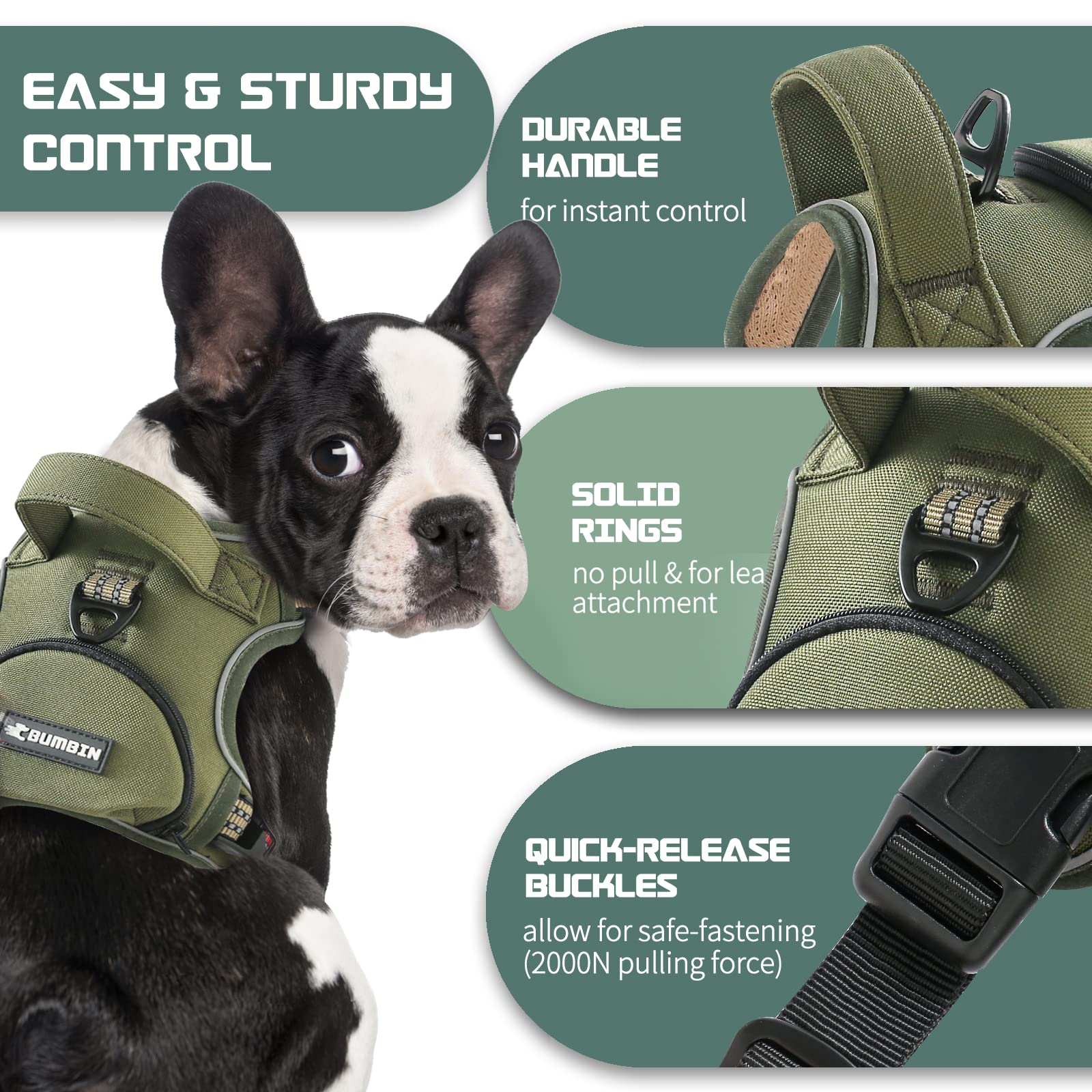 BUMBIN arnés trasero para caminatas diarias y paseos