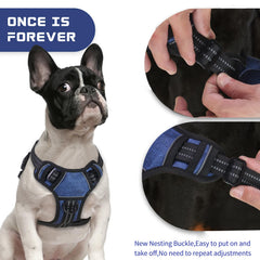 Arnés BUMBIN XL con enganches frontal y trasero para entrenamiento y caminatas