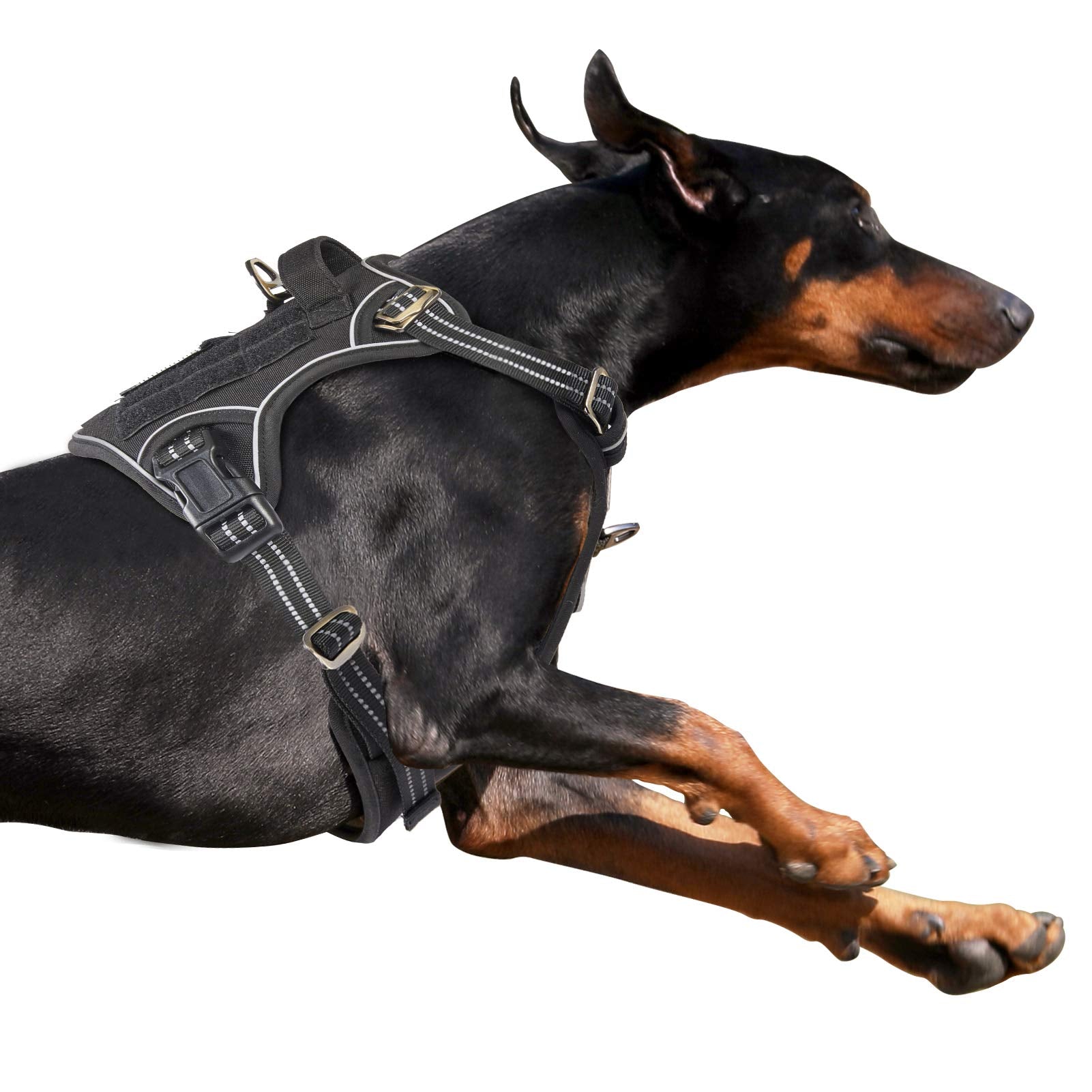 BUMBIN arnés táctico para perros grandes con ajuste cómodo y sin tirones.