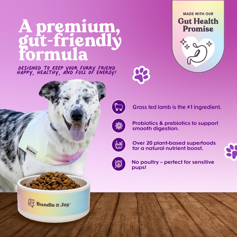 Bundle x Joy Brave: 20 superalimentos vegetales para una dieta equilibrada del perro.