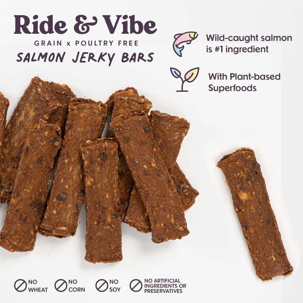 Bundle x Joy Ride y Vibe hecho en EE. UU. para perros