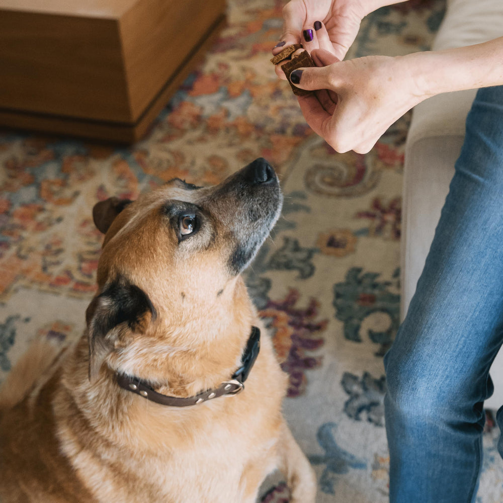 Producto fabricado en Estados Unidos para perros.