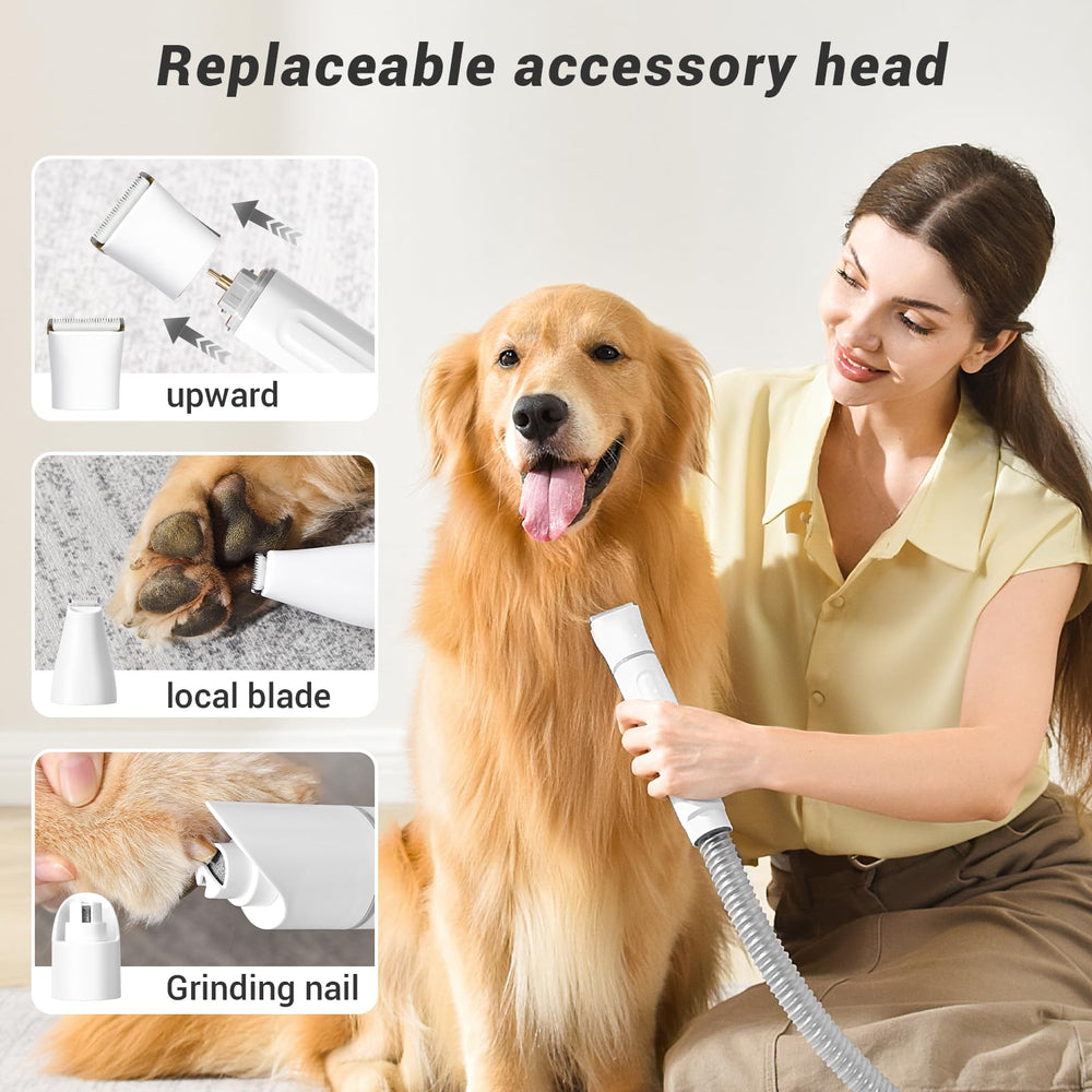17 herramientas para grooming y limpieza del hogar