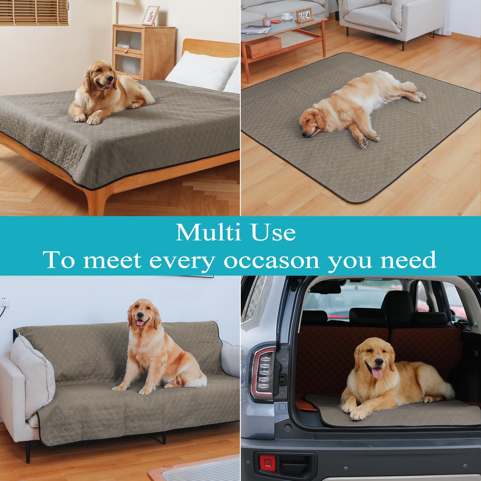 Bunlitent almohadilla lavable para perros, ideal para casa o jaula, entrenamiento sin desorden.