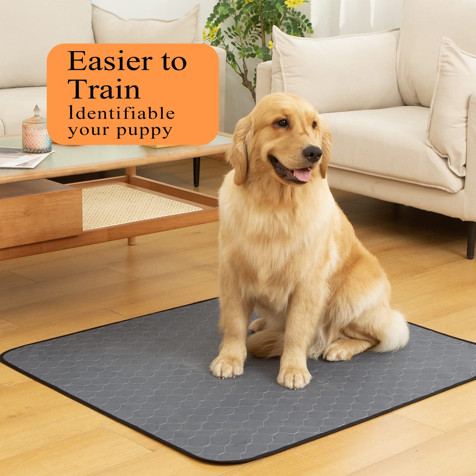 Bunlitent Pee Pad anti deslizante, mantiene el pad estable durante el uso.