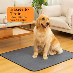 Bunlitent tejido impermeable alto para protección de suelos ante derrames.