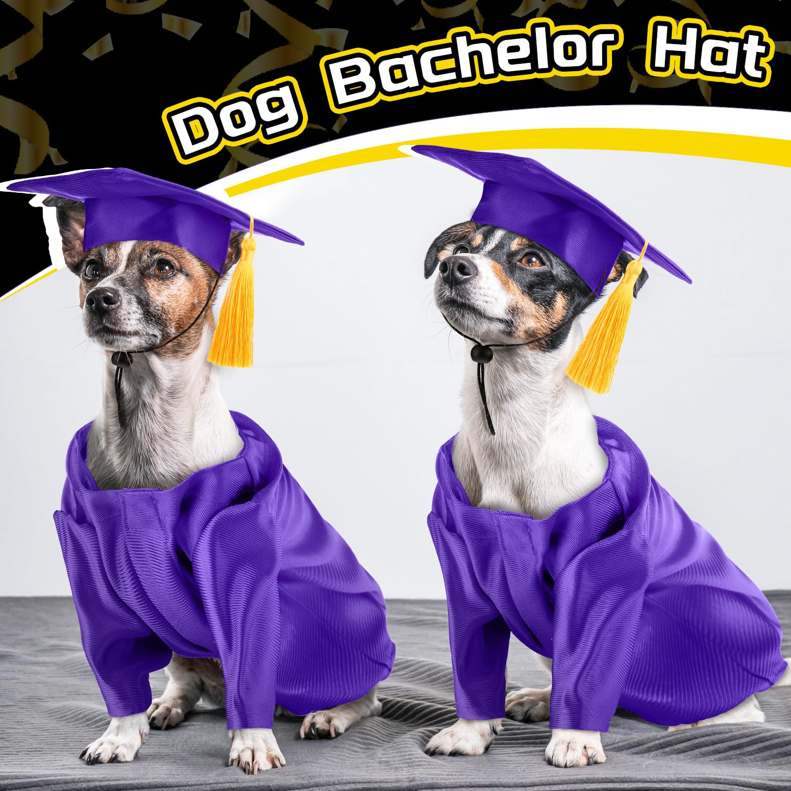 Bunnycool para fotos de graduación de mascotas
