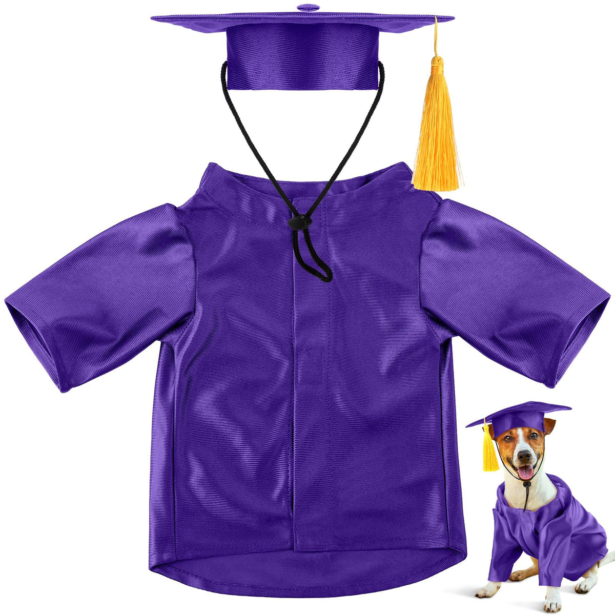 Bunnycool graduación para perro: sombrero y bata morados