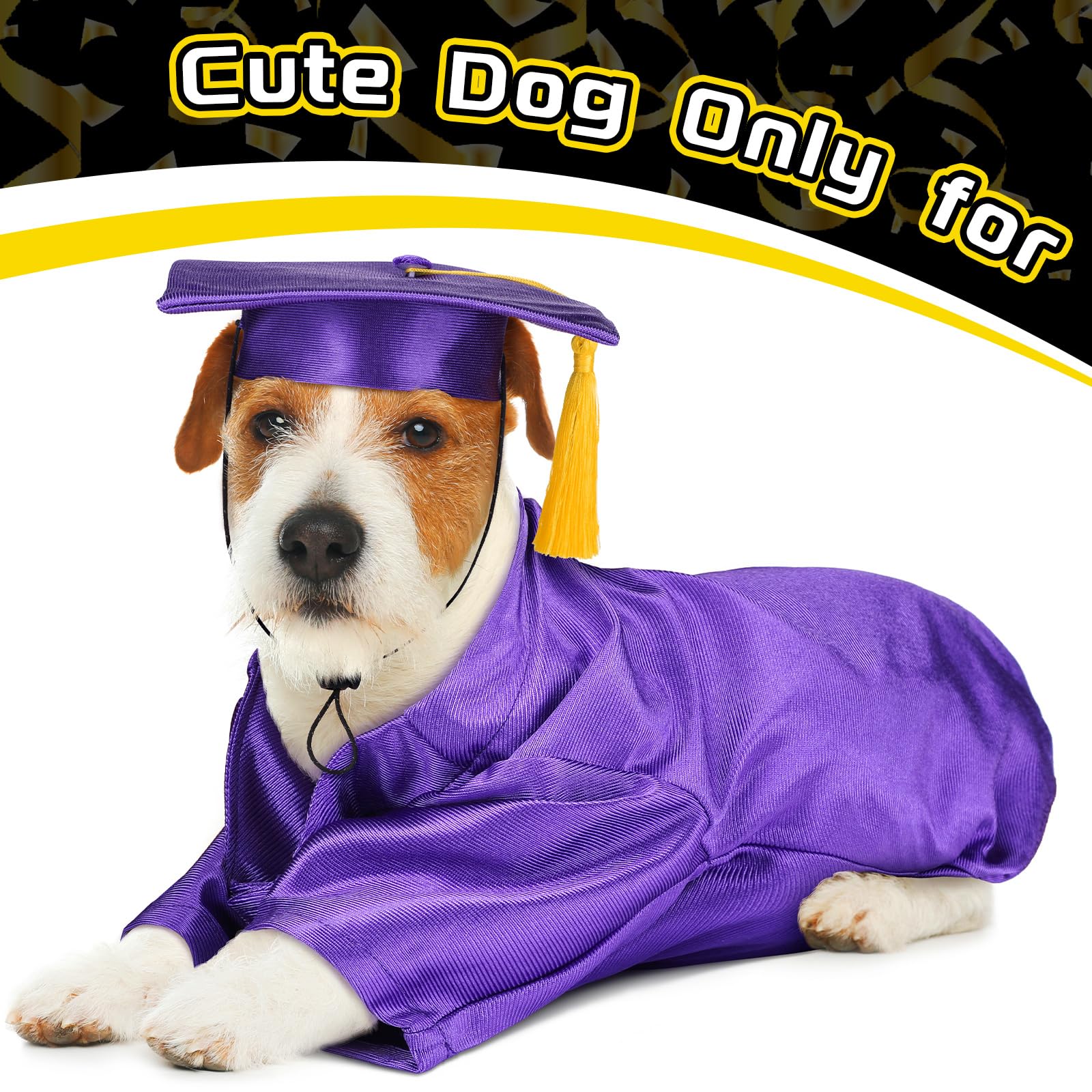 Ropa de graduación Bunnycool para perros y mascotas morado