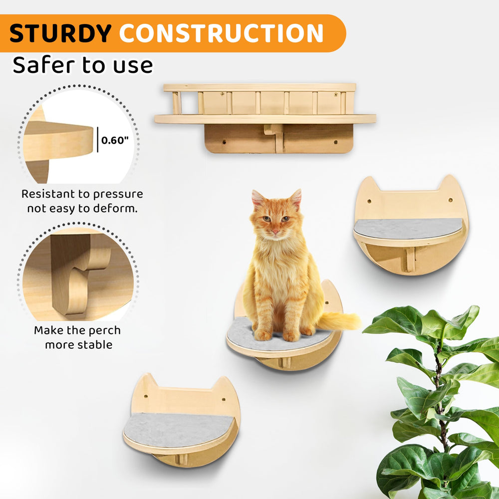 BUOGA diseño escandinavo con marcos robustos para gatos grandes