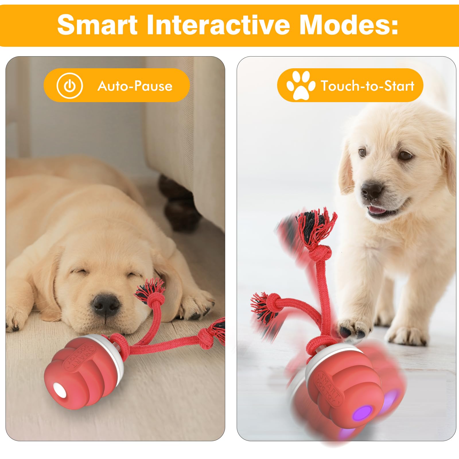 BUPIHUKA regalo ideal para mascotas, entretenimiento y compañía.
