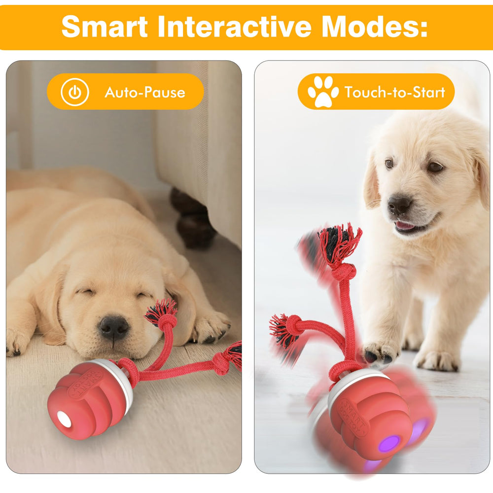 BUPIHUKA regalo ideal para mascotas, entretenimiento y compañía.