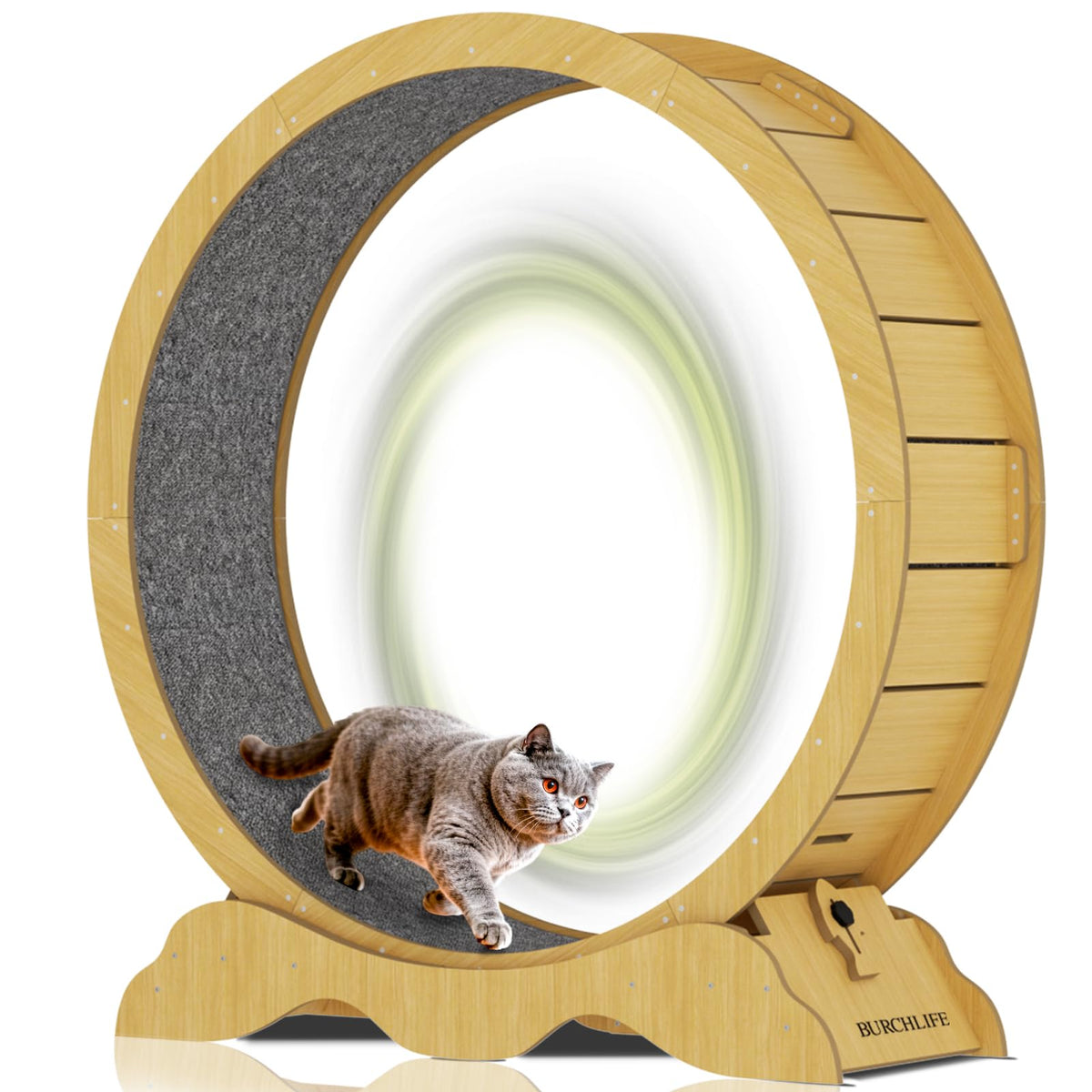 BURCHLIFE rueda-ejercicio-gato-45p: plataforma estable para ejercicio diario de tu gato.