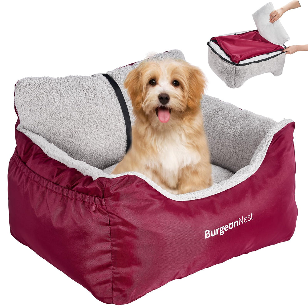 Burgenest asiento para perro pequeño en coche, cómodo y seguro durante el viaje.