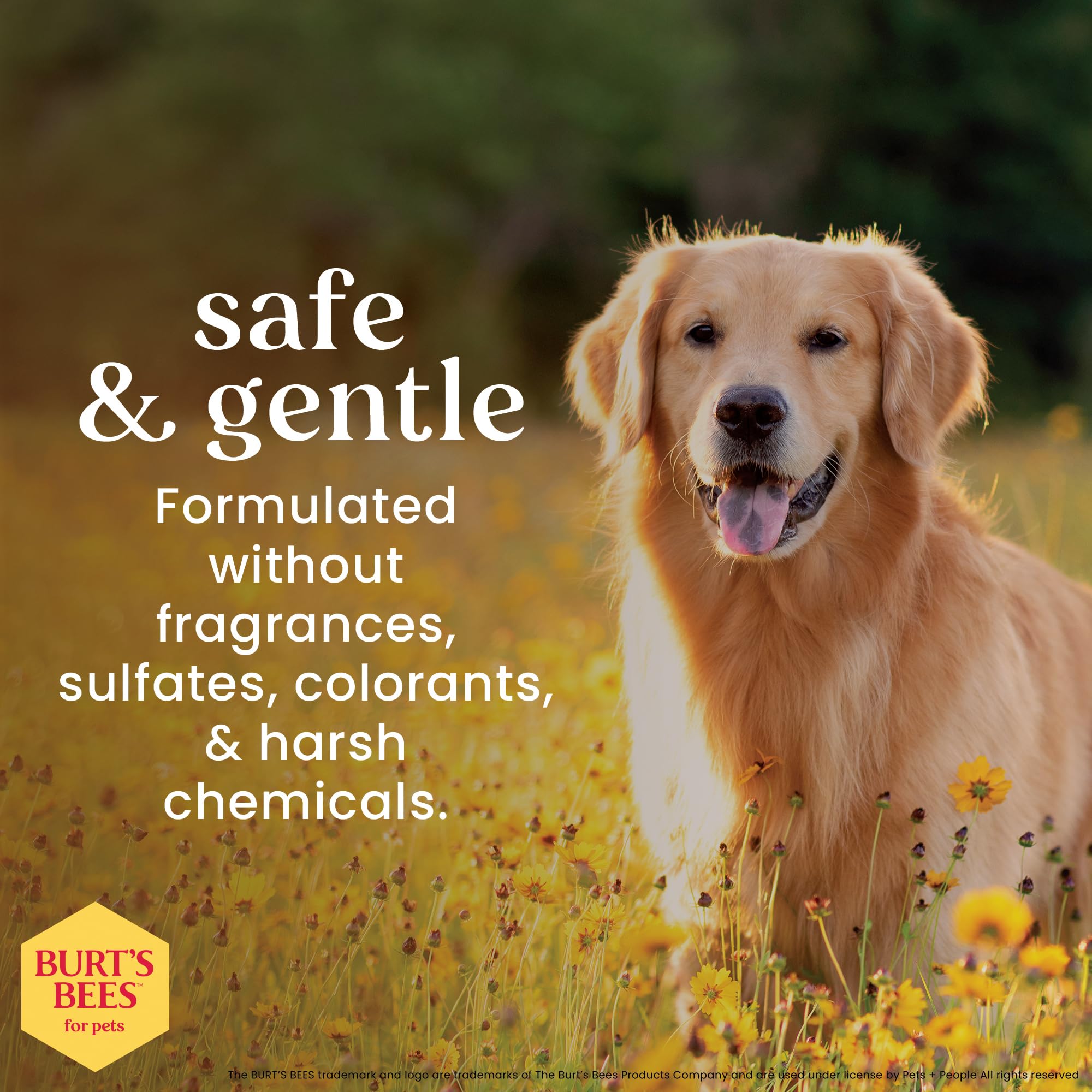 BURT'S BEES FOR PETS sin colorantes, pelaje limpio y natural.