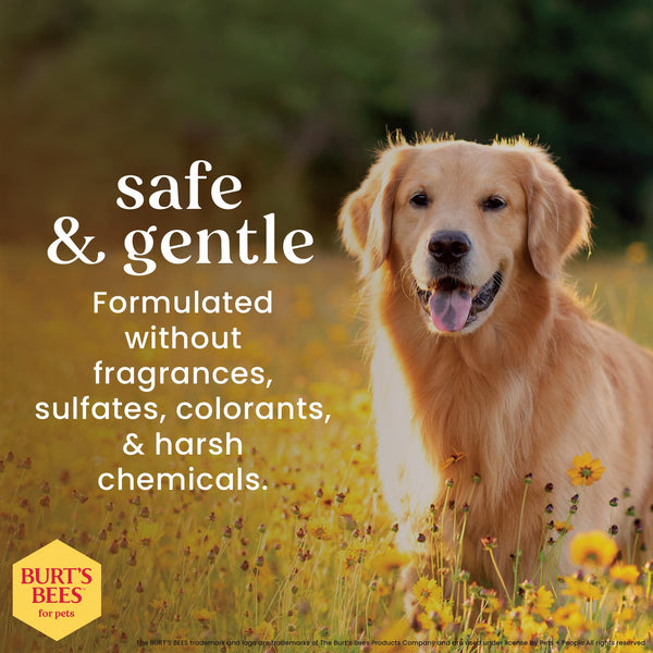 BURT'S BEES FOR PETS sin colorantes, pelaje limpio y natural.