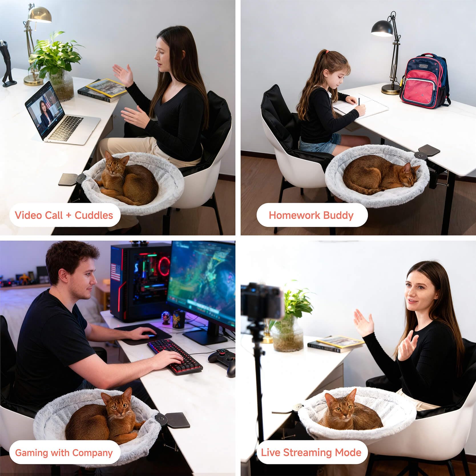 ButtonwoodNest percha-gato-escritorio: soporte estable para observar desde tu mesa.