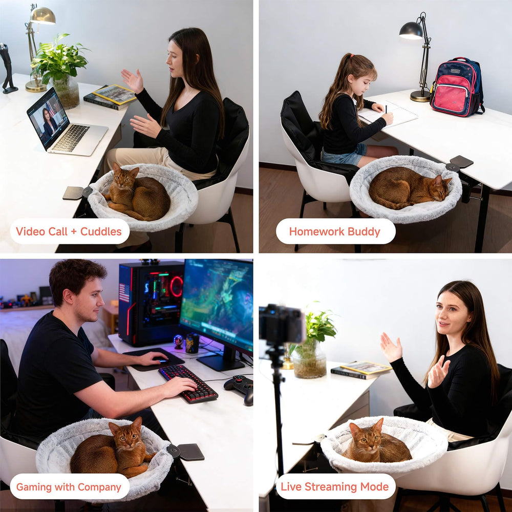 ButtonwoodNest percha-gato-escritorio: soporte estable para observar desde tu mesa.