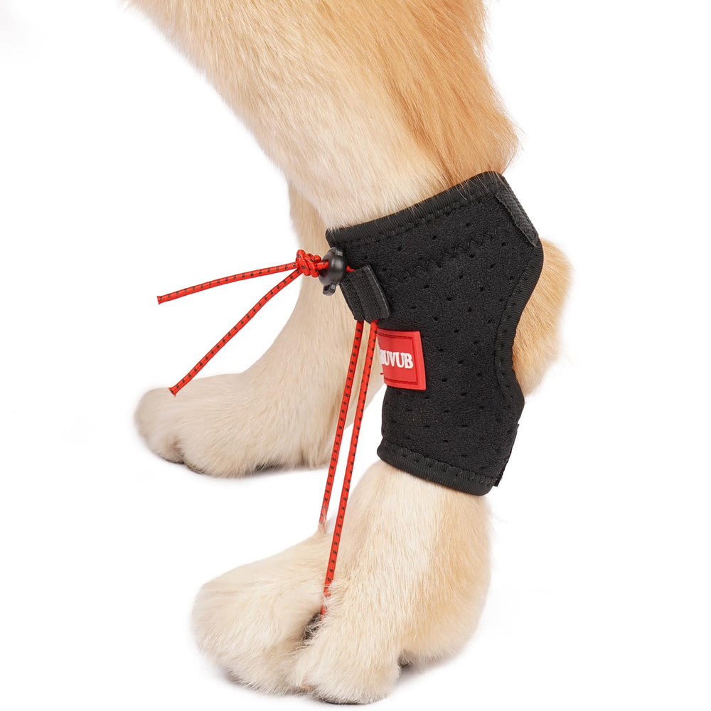 Ortésis para pata trasera de perro con perforaciones, soporte estable.