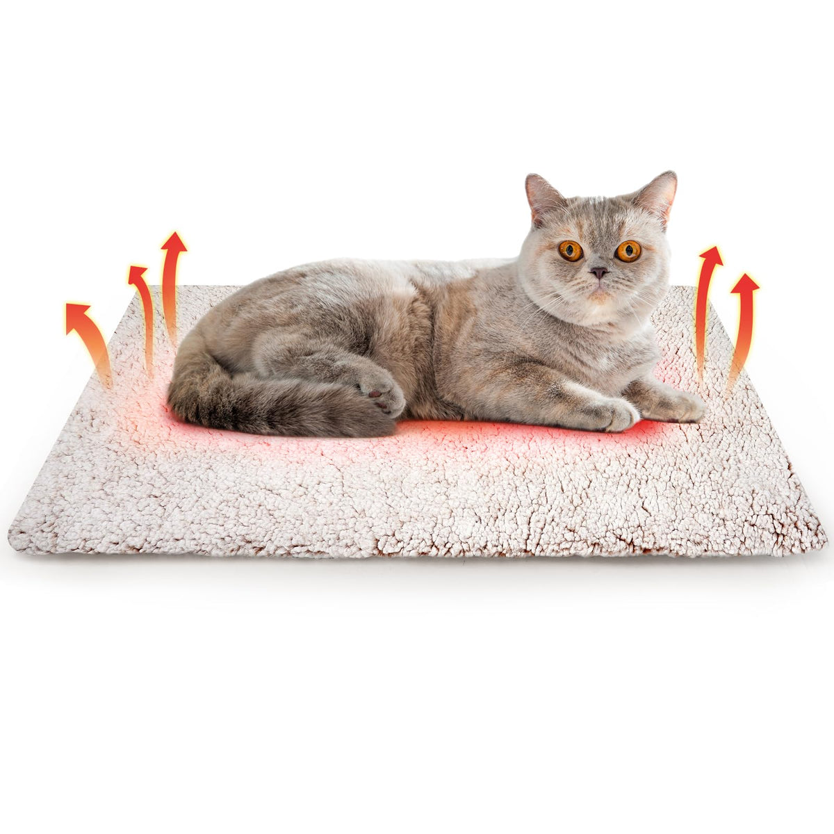 Cama autocalentadora Buvlnee para gatos, calor natural y descanso cómodo.