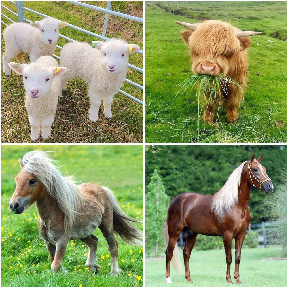 BUYYAH acceso-amplio facilita la alimentación de varios animales.
