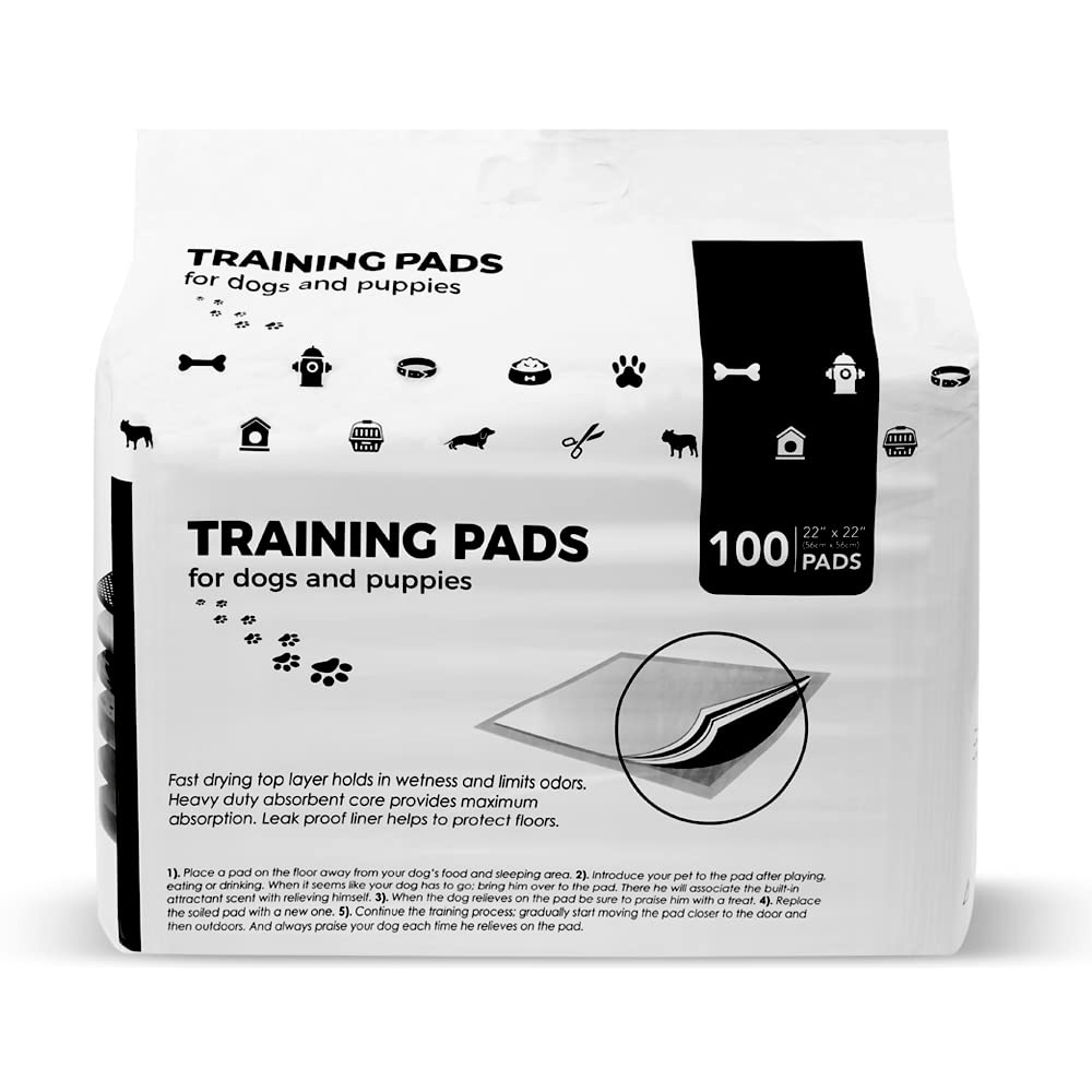 BV Puppy Pads: evita manchas y mejora la higiene del hogar