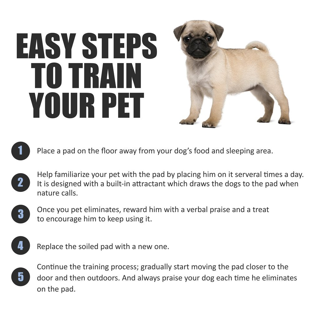 BV XL 28x34 tapetes para perros grandes de entrenamiento.