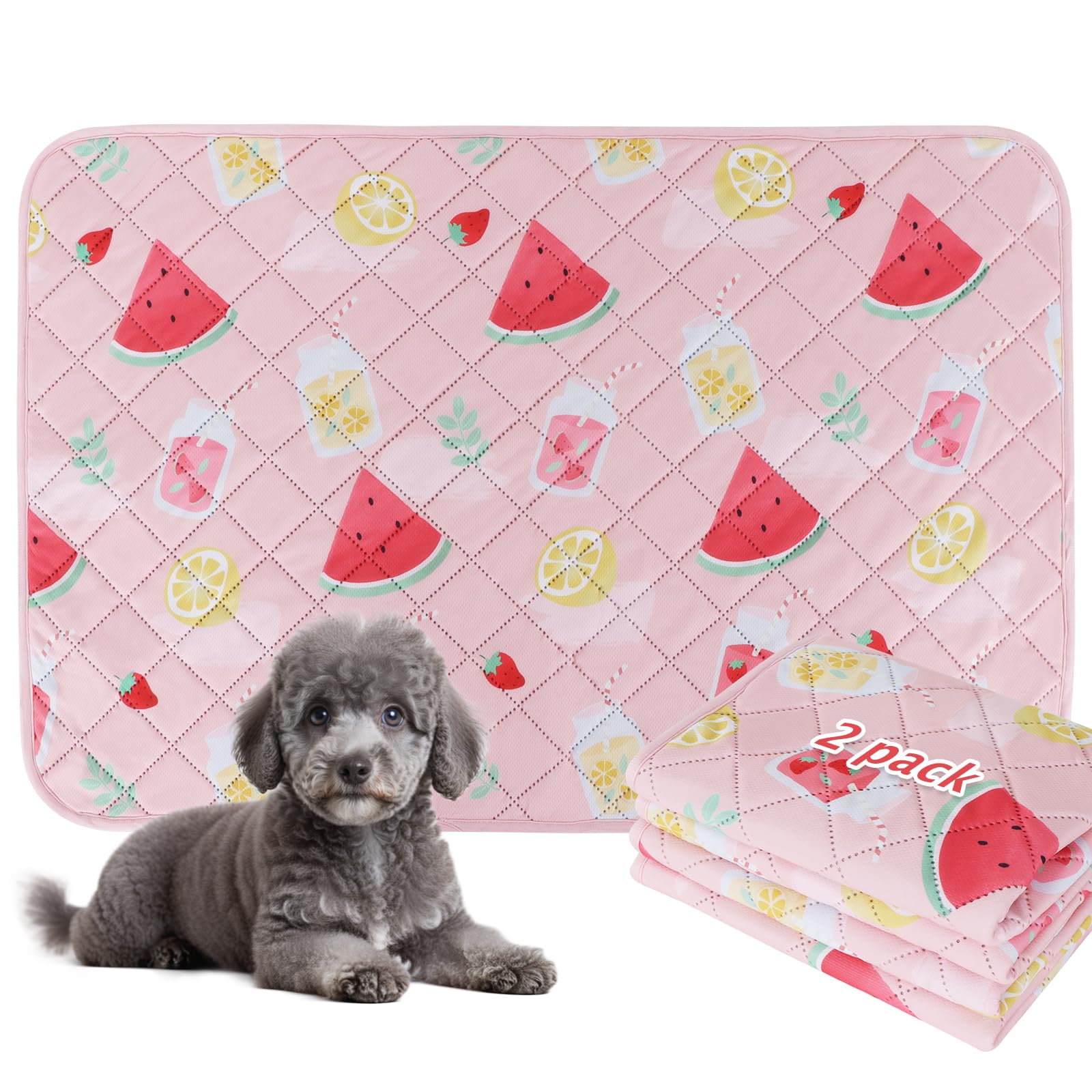 BVAGSS almohadilla lavable para perros con diseño sandía protege suelos
