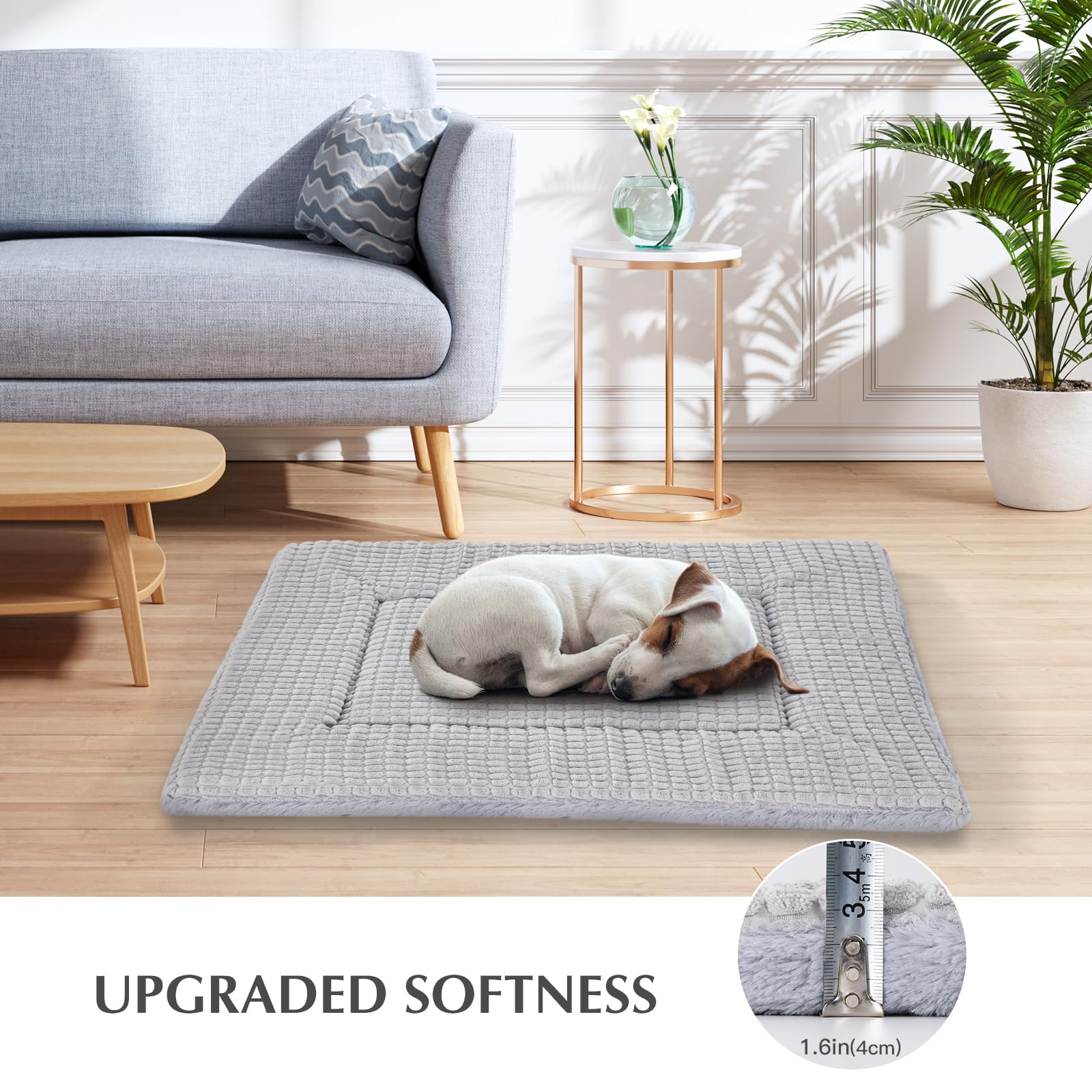 BVAGSS cama para perros mat portátil para viajes