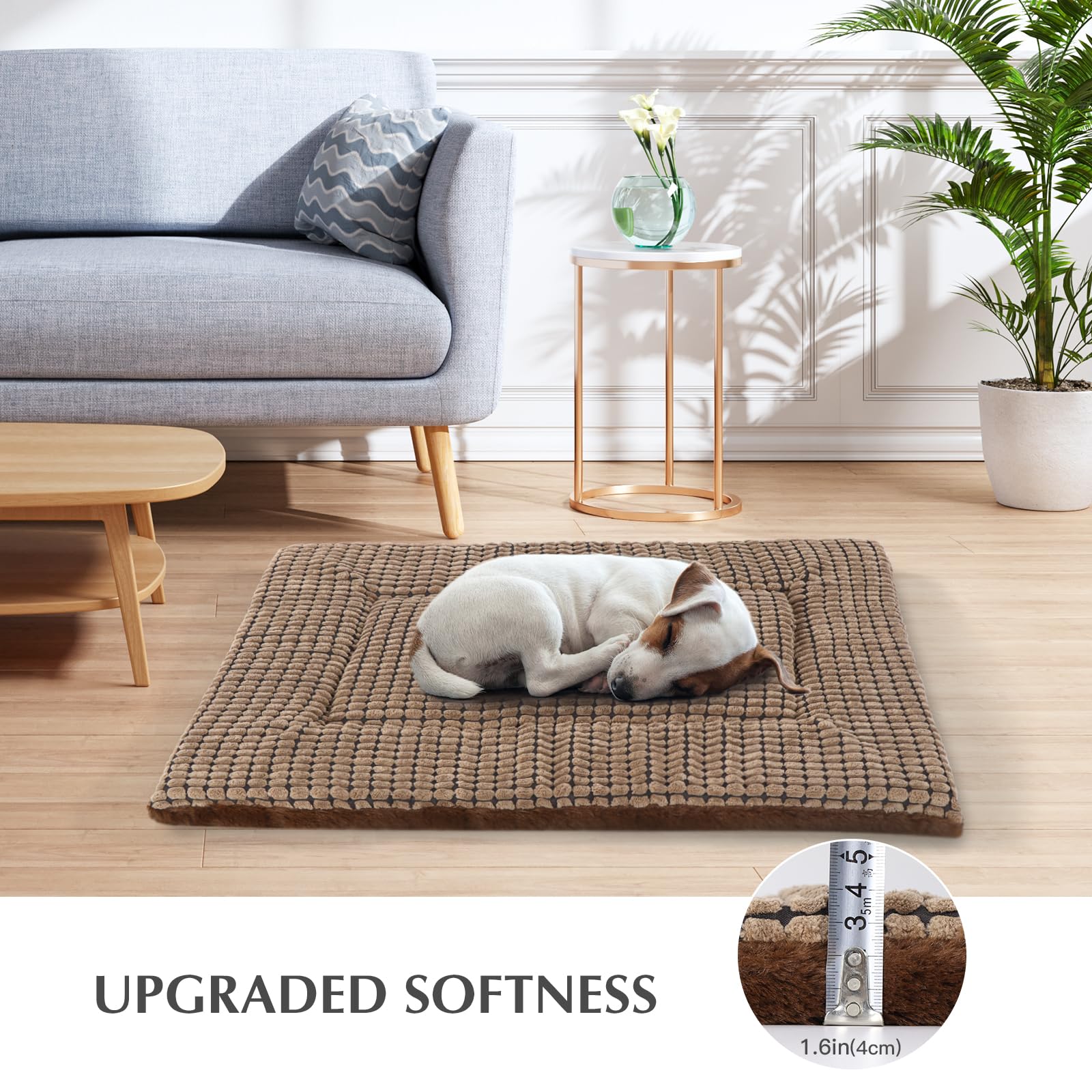 BVAGSS cama no impermeable, ideal para interiores.