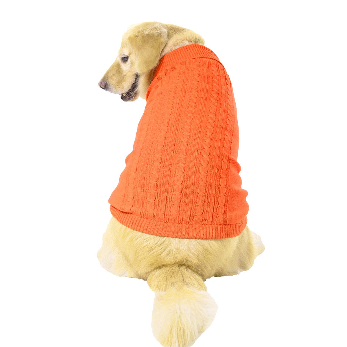 Bwealthest sudadera para perro cálida y suave, ideal para paseos fríos.
