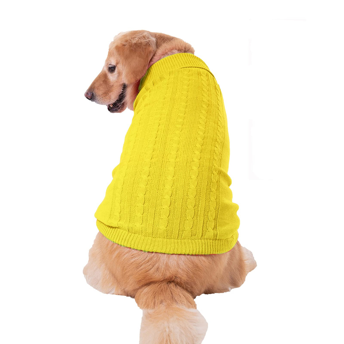 Sudadera Bwealthest para perro, frente con cuello alto, ideal para paseos de invierno.