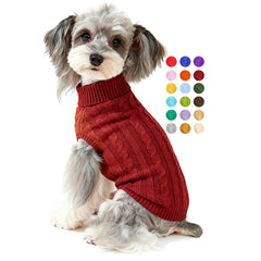 Sudadera Bwealthest para perro en primer plano, ideal para paseos invernales.