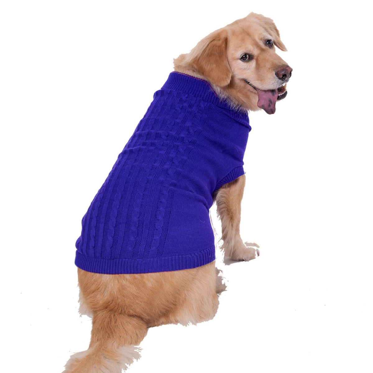 Bwealthest suéter para perros con cuello tortuga, cálido y cómodo para paseos fríos.