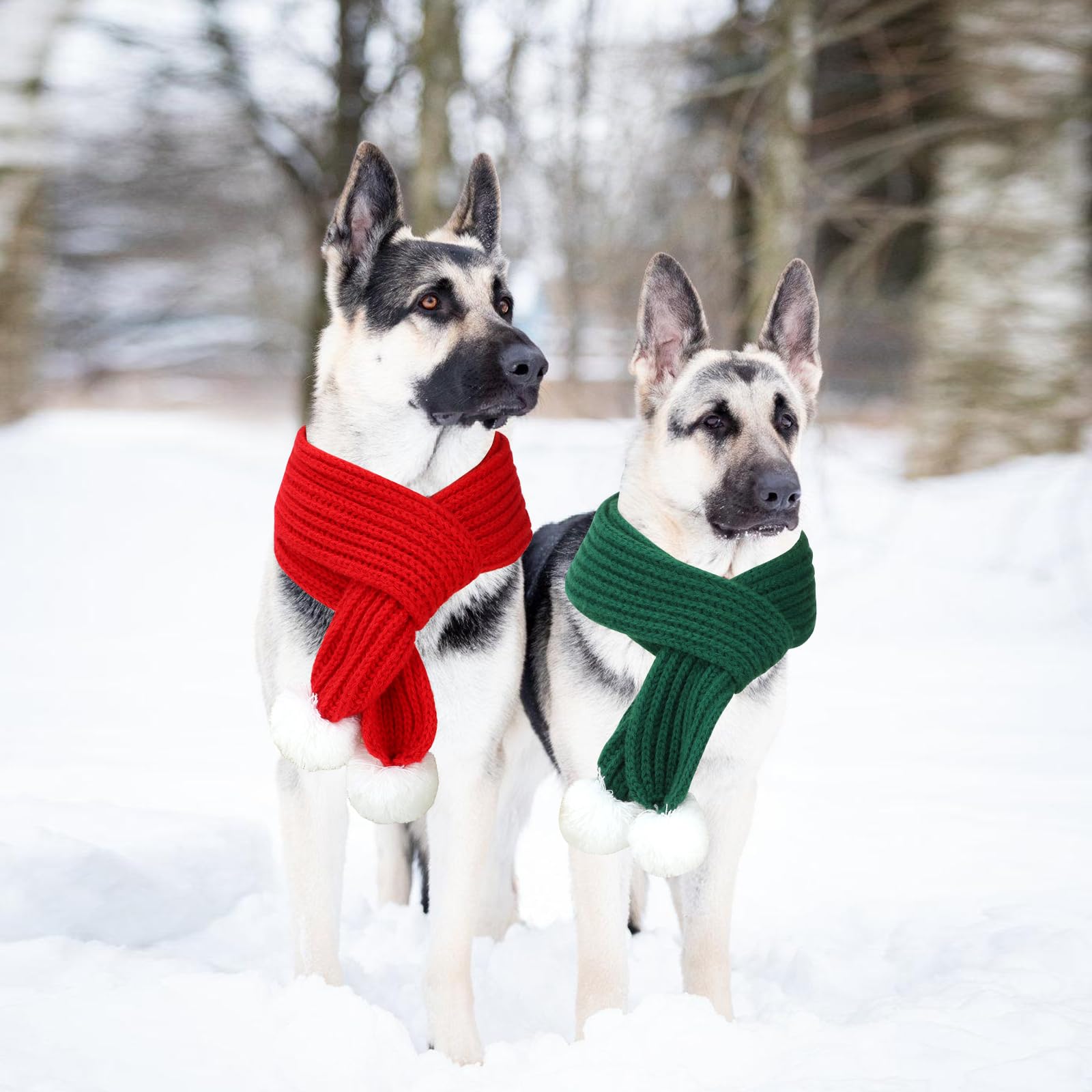 Diseño navideño BWOGUE en rojo y verde, perfecto para fiestas con tu perro.