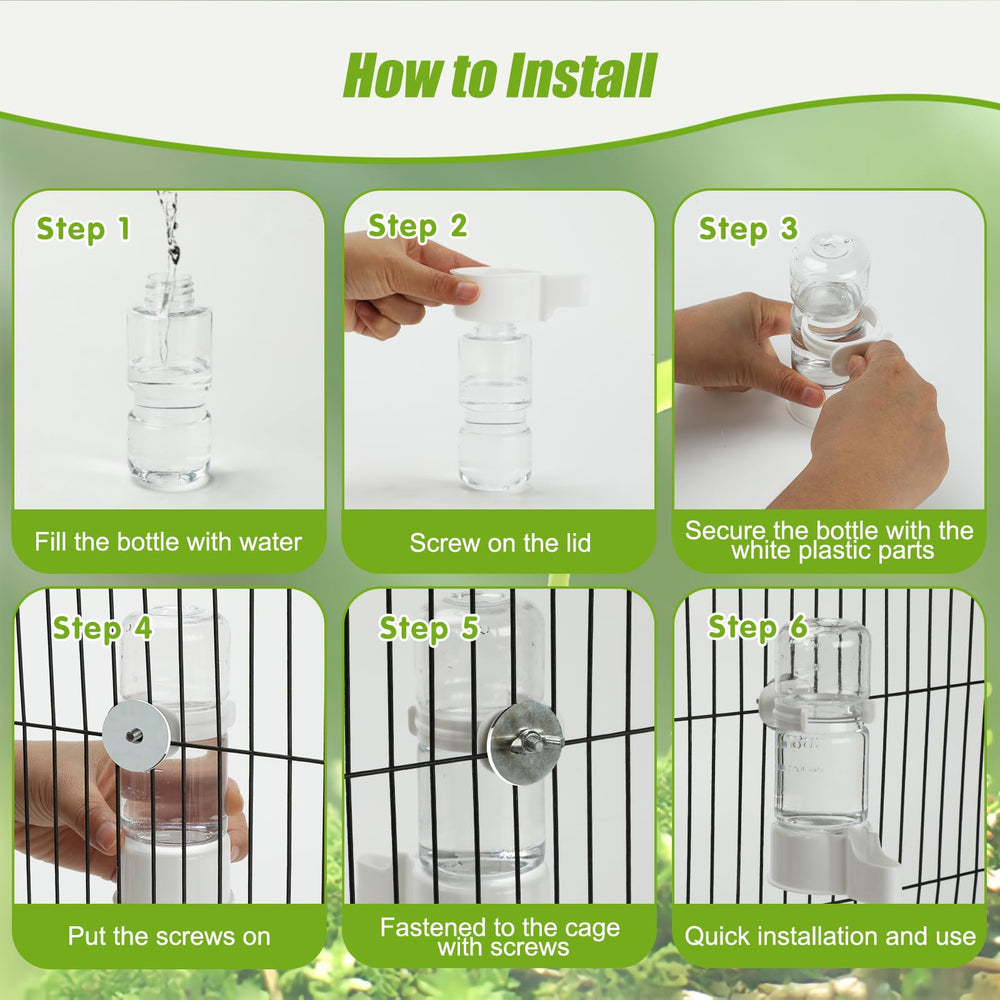 BWOGUE dispensador-uso-multiples para periquitos y aves pequeñas