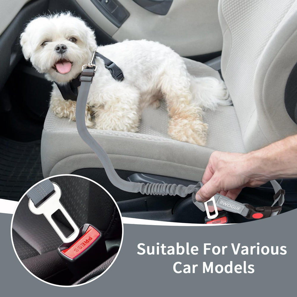 BWOGUE cinturón para coche dúplex con uso como correa para paseo.