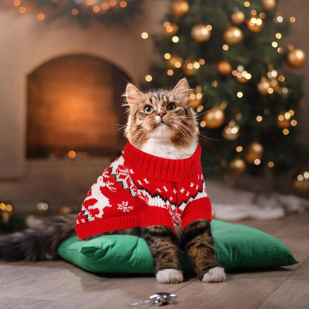 BWOGUE suéter elástico facilita vestir, sin restringir movimientos del gato.