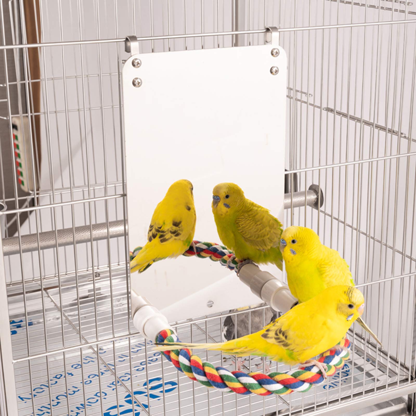 BWOGUE juguete de jaula con espejo para aves medianas, estimula juego.