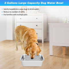 Bwogue tazón alimentacion perro grande para comida húmeda, seca o mezclada.