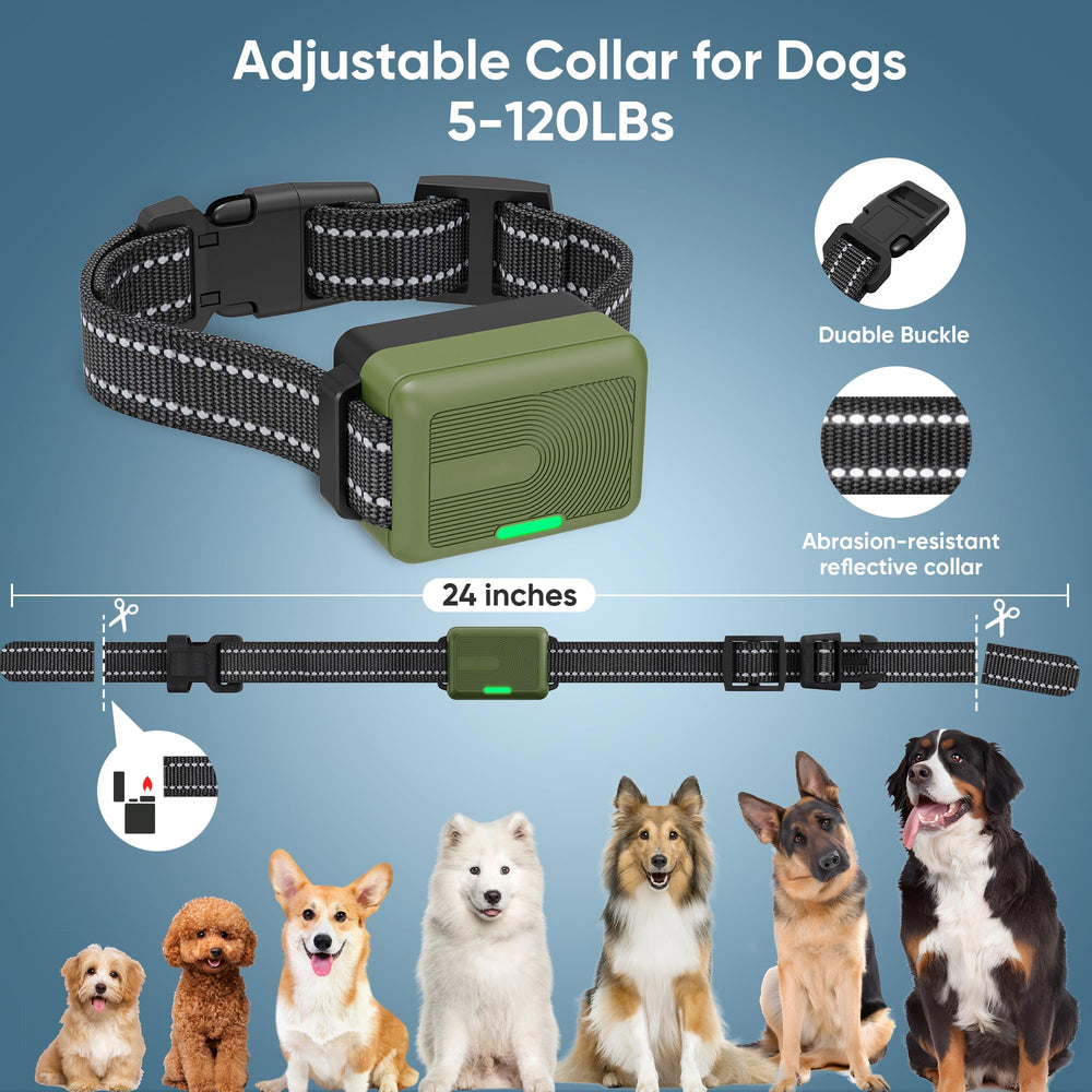 Bwrethay ajuste de tallas para perros grandes y pequeños, ideal para hogares con varias razas