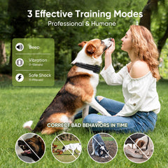 Bwrethay control remoto ergonómico facilita sesiones de adiestramiento seguro en exteriores
