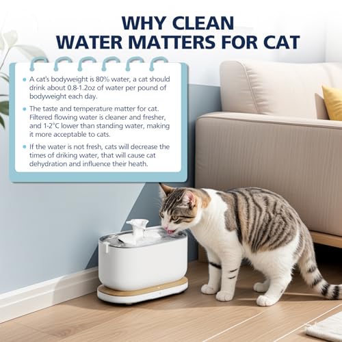 Cabiclean mantenimiento semanal: limpieza de bomba y dispensador