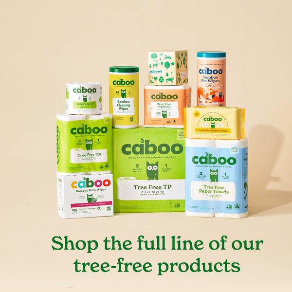 Caboo Tree Free Wipes, 140 toallitas, ideal para casas con mascotas.