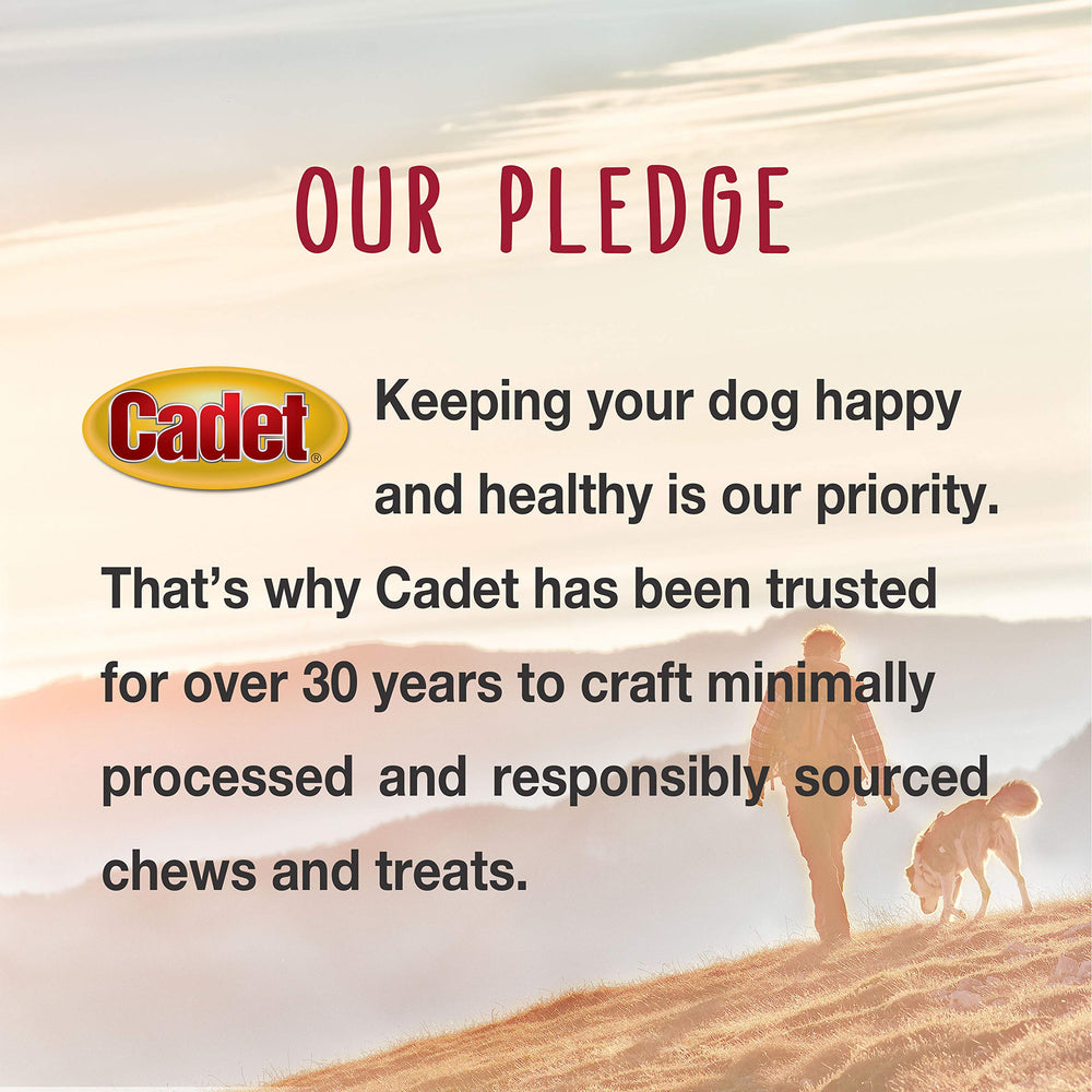 Cadet calidad premium en masticables para perros de todos tamaños
