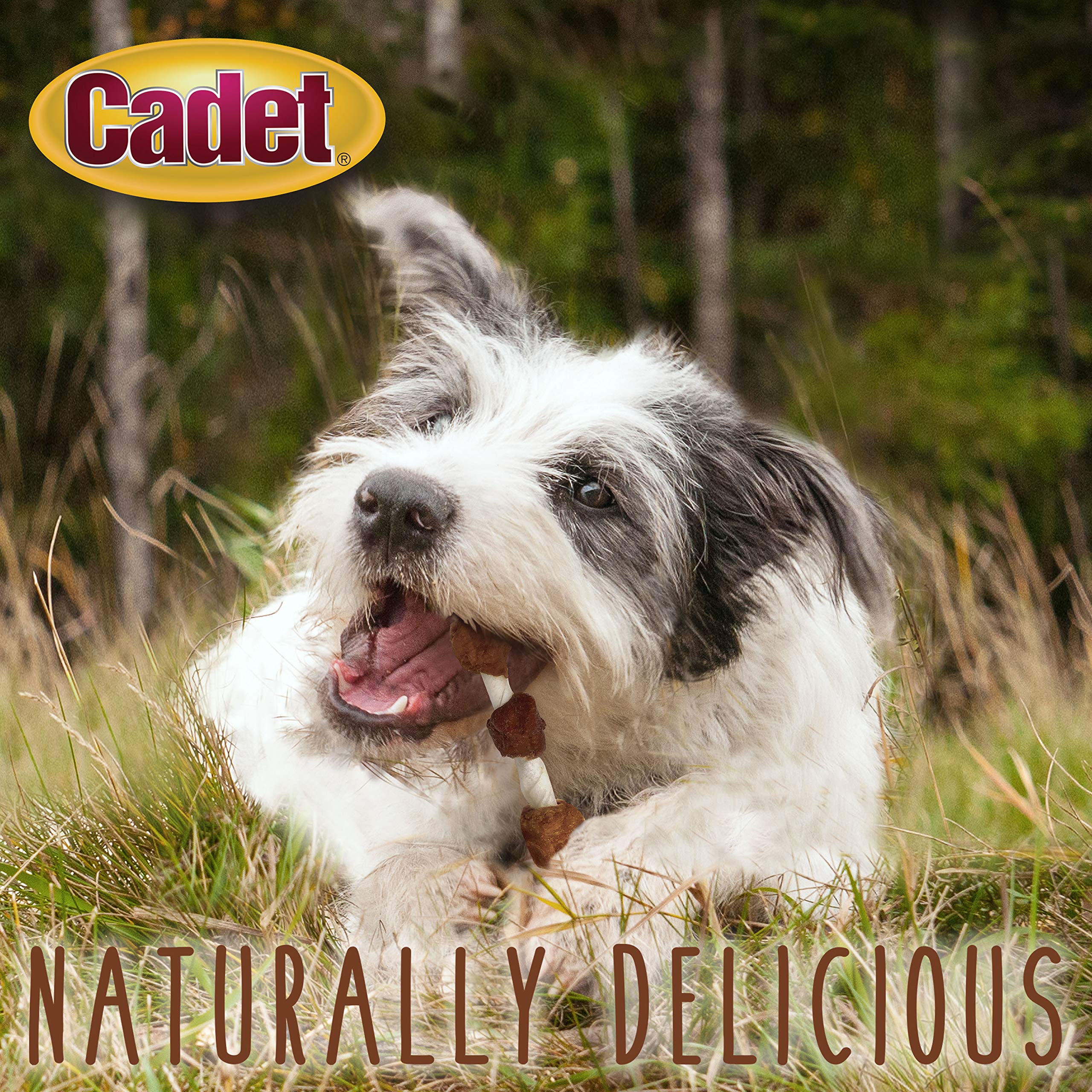 Cadet Gourmet ingredientes limitados para dietas simples