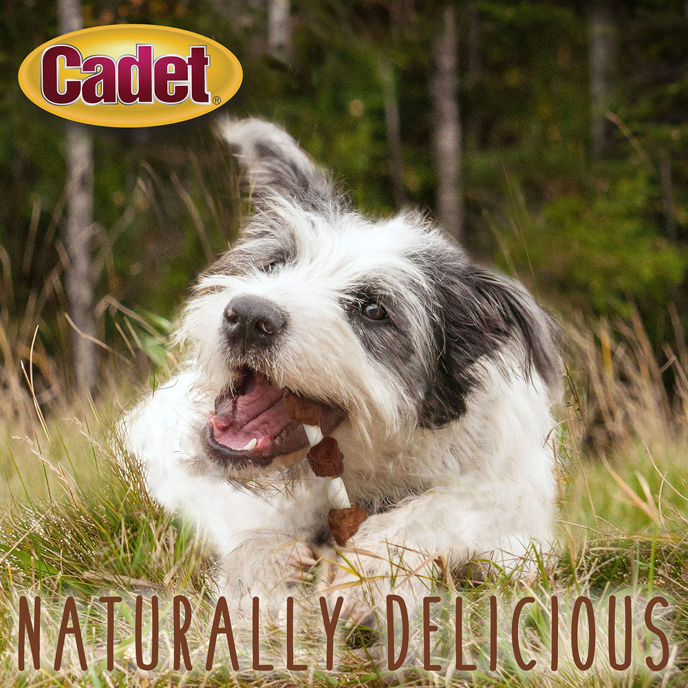 Cadet Gourmet ingredientes limitados para dietas simples