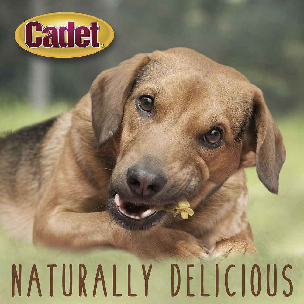 Cadet Gourmet Pollo y Manzana: alta proteína para apoyo al rendimiento